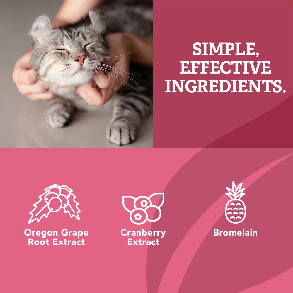 Urinary Care Supplement Soft Chews for Cats, 78 Count